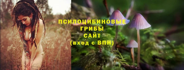 дурь Алзамай