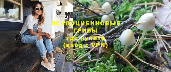 ПСИЛОЦИБИНОВЫЕ ГРИБЫ Липки