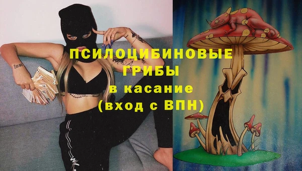 прущие крисы Алексеевка