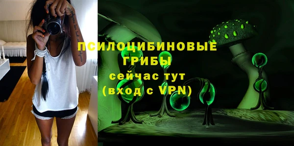прущие крисы Алексеевка