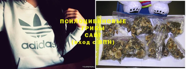 дурь Алзамай