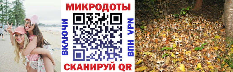 сайты даркнета официальный сайт  Берёзовка  Галлюциногенные грибы Psilocybe  купить закладку  kraken сайт 